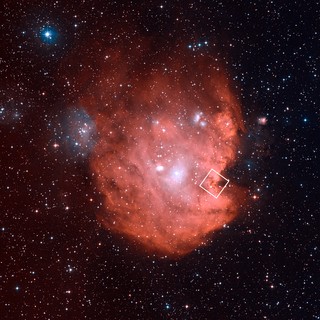 The Monkey Head Nebula