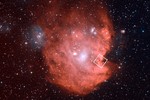 The Monkey Head Nebula